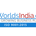 WorldsIndia.com review dashboard and features